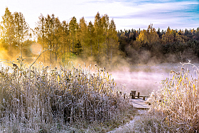 Первые заморозки... | Фотограф Айвар Удрис | foto.by фото.бай