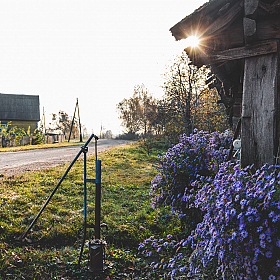 Утро в деревне | Фотограф Иван Можако | foto.by фото.бай