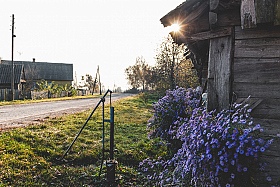 Утро в деревне | Фотограф Иван Можако | foto.by фото.бай