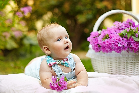 Фотограф Светлана Лютько, фотография добавлена 21.09.2015