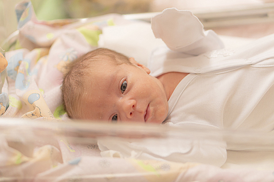 Фотограф Надежда Дудаева, фотография добавлена 06.02.2026