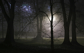 Ночной туман | Фотограф Александр Задёрко | foto.by фото.бай