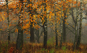 Осенний пейзаж | Фотограф Сергей Шляга | foto.by фото.бай