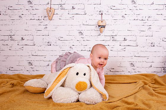 Фотограф Светлана Рябова, фотография добавлена 04.01.2017