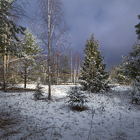 зима вернулась | Фотограф Виталий Полуэктов | foto.by фото.бай