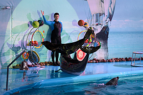 Работа фотографа Сергей Тарасов