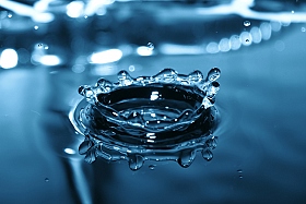 Капли воды | Фотограф Тимофей Евсеев | foto.by фото.бай