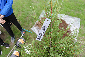 Работа фотографа Сергей Тарасов