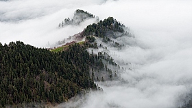 Туман наступает | Фотограф Александр Плеханов | foto.by фото.бай