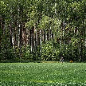 Мир зеленого цвета | Фотограф Александр Шатохин | foto.by фото.бай