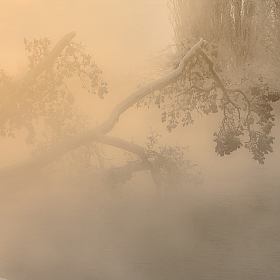 Растворяясь в утреннем тумане | Фотограф Александр Плеханов | foto.by фото.бай