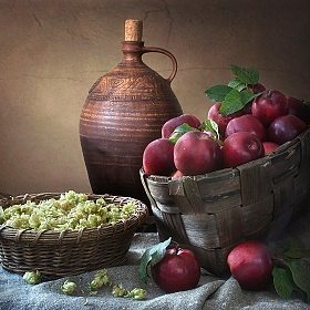 Хмельные яблочки | Фотограф Ирина Приходько | foto.by фото.бай