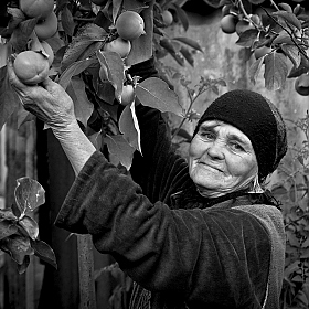 Раиса Васильевна | Фотограф Сергей Михайлов | foto.by фото.бай