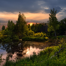 фотограф Виталий Полуэктов. Фотография "вечером на болоте"