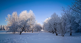 Иней на деревьях | Фотограф Сергей Шабуневич | foto.by фото.бай