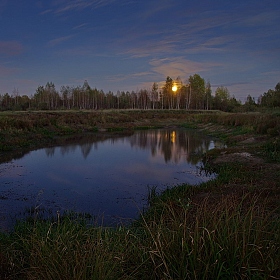 Поднималась луна | Фотограф Сергей Шляга | foto.by фото.бай