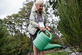 Работа фотографа Сергей Тарасов
