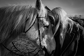 Работа фотографа Оксана Стасенко