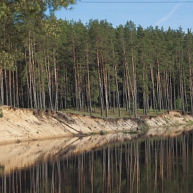 фотограф Сергей Аникин. Фотография "Лесной пейзаж"
