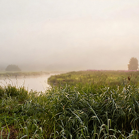 Туманное утро | Фотограф Сергей Шабуневич | foto.by фото.бай