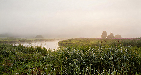 Туманное утро | Фотограф Сергей Шабуневич | foto.by фото.бай