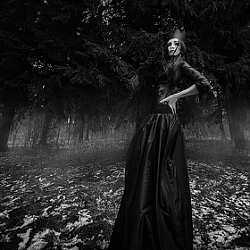 фотограф Александр Мухин. Фотография "The Black Queen"