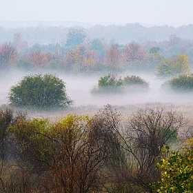 туманным утром октября | Фотограф Владислав Рогалев | foto.by фото.бай