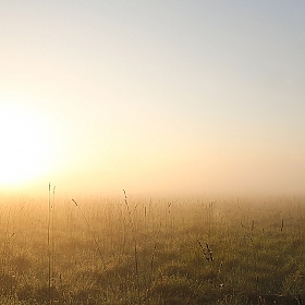 Туманный рассвет | Фотограф Юлия Войнич | foto.by фото.бай