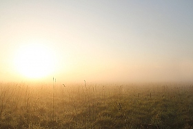Туманный рассвет | Фотограф Юлия Войнич | foto.by фото.бай