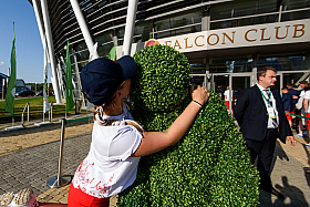 Работа фотографа Сергей Тарасов