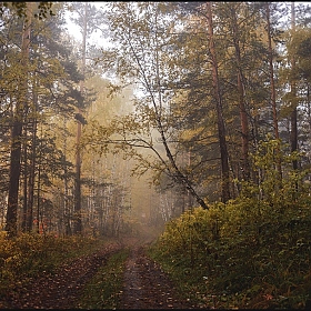 Осенью. | Фотограф Mihail | foto.by фото.бай