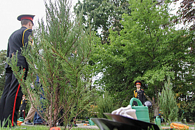 Работа фотографа Сергей Тарасов