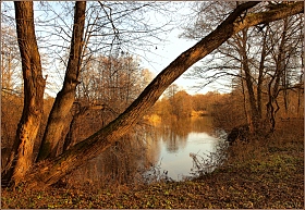 осенняя река | Фотограф Игорь Сафонов | foto.by фото.бай