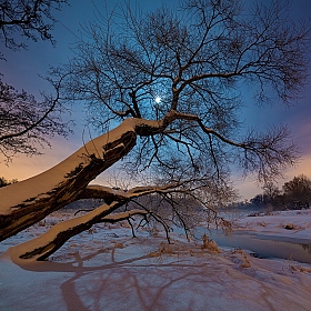 морозная ночь в  Лошицком | Фотограф Анатолий Адуцкевич | foto.by фото.бай