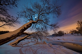 морозная ночь в  Лошицком | Фотограф Анатолий Адуцкевич | foto.by фото.бай