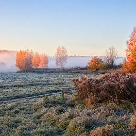 Осенние туманы | Фотограф Сергей Шабуневич | foto.by фото.бай
