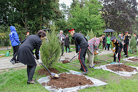Работа фотографа Сергей Тарасов