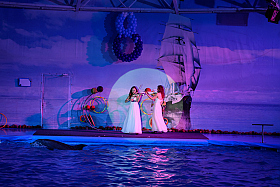 Работа фотографа Сергей Тарасов