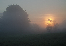 Туманное утро | Фотограф Виктор Позняков | foto.by фото.бай