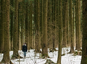 В лесу | Фотограф Николай Никитин | foto.by фото.бай