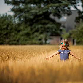 В поле... | Фотограф Янина Гришкова | foto.by фото.бай