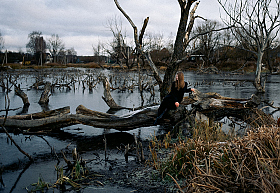 Работа фотографа Дмитрий Гусалов