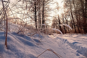 Зимняя... | Фотограф Александр Чиж | foto.by фото.бай