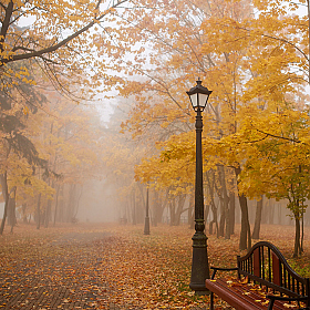 фотограф Hanna Bykovskaya. Фотография "Туман в парке"