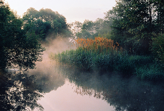 Максим Черноголов - фотограф в городе Минск, фотография добавлена 17.02.2020