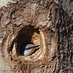*** | Фотограф Ihar Karneichuk | foto.by фото.бай