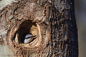 *** | Фотограф Ihar Karneichuk | foto.by фото.бай