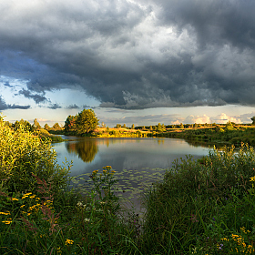 летние контрасты | Фотограф Виталий Полуэктов | foto.by фото.бай