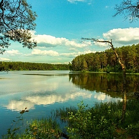 фотограф Владимир Кравчук. Фотография "Озеро в Поречьях"
