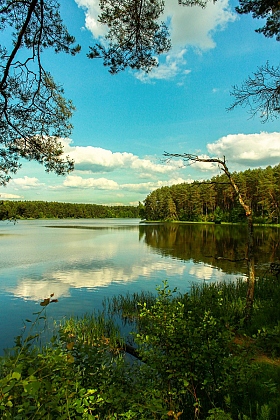 Озеро в Поречьях | Фотограф Владимир Кравчук | foto.by фото.бай